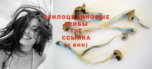 крисы Коряжма