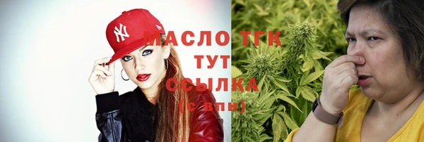 стаф Корсаков
