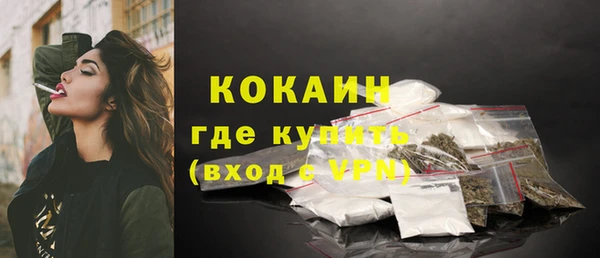 крисы Коряжма
