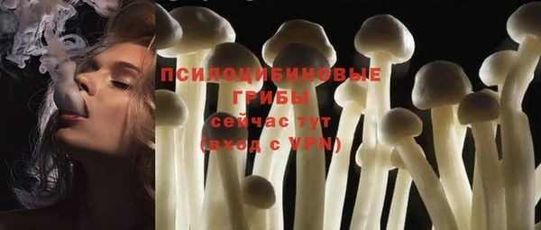 ешки Красноперекопск
