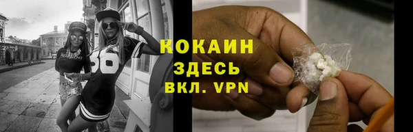 крисы Коряжма