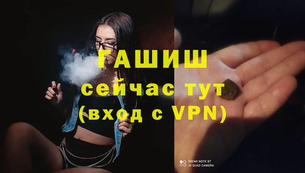 крисы Коряжма