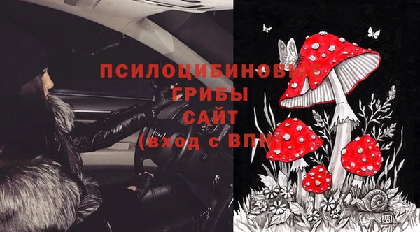 стаф Корсаков