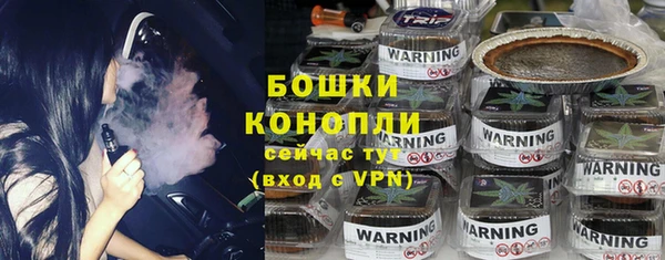 крисы Коряжма