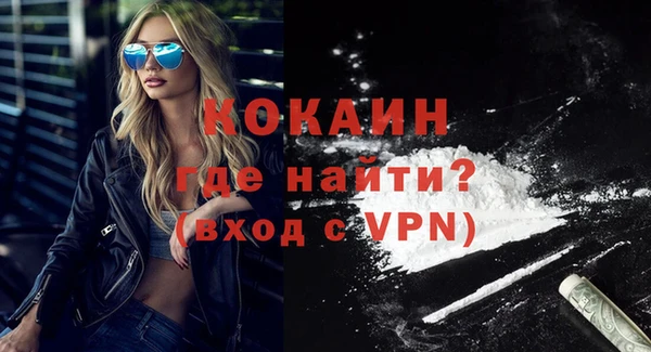 стаф Корсаков