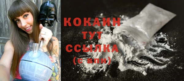 крисы Коряжма