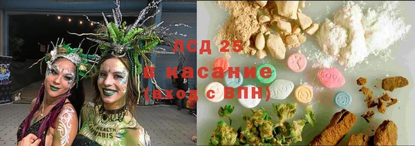 стаф Корсаков
