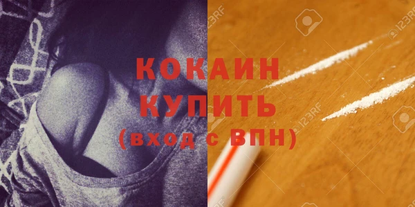 крисы Коряжма
