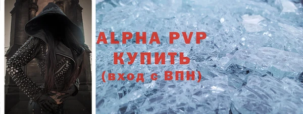 стаф Корсаков